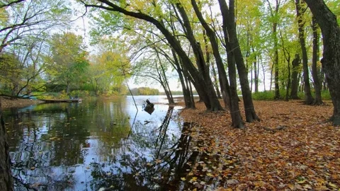 Close-up of a dead leaf caught in a spider's web in an autumn setting Stock-Footage 167665173