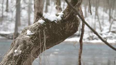 Close up dead tree branch rack focus to running river winter Stock-Footage 104318420