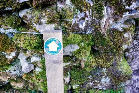 Close up of a dead tree trunk bark texture Stock Photos