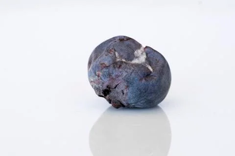 Close-up of decaying, molded blueberry (side view) Stock Photos