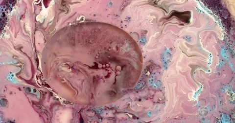 Close-up of decaying organic matter with mold and texture. Time-lapse decomposit Stock Footage 340450298