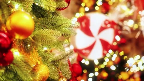 Close-up Decorated Christmas Tree with Candy Cane and Gold Baubles Stock-Footage 329616130