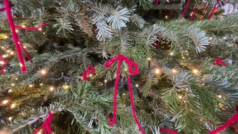 Close up of a decorated Christmas tree Stock Footage 298676558