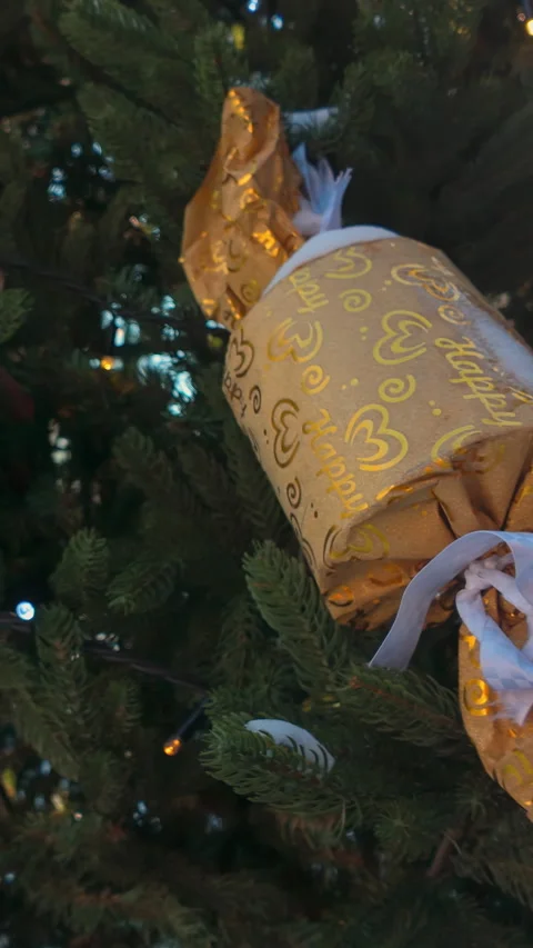 Close-up of decorated Christmas tree in sunny winter park covered with snow Stock Footage 336003381