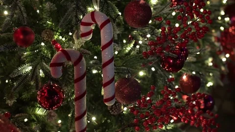 Close-Up of Decorated Christmas Tree with Twinkling Lights and candy canes. Stock Footage 341562146