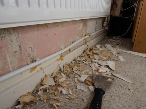 Close up of decorating in progress showing scraper and wallpaper scraps under a Stock Photos