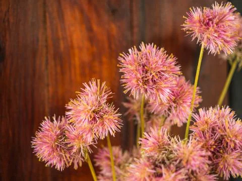 Close up of decoration artificial flower Stock Photos