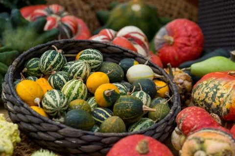 Close up of decoration with pumpkins on table Stock-Fotos