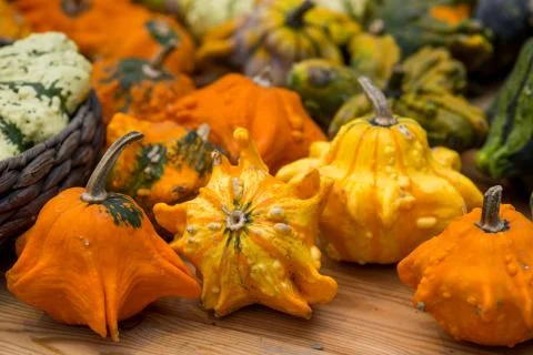 Close up of decoration with pumpkins on table Foto stock
