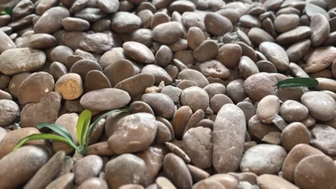 Close-up of decorative rocks Stock Footage 312094987