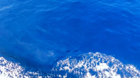 Close-up of the deep blue water of the Mediterranean Sea Stock Footage