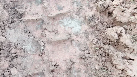 Close up of deep military tank continuous tracks imprinted in wet muddy soil. Stock Footage 343797973