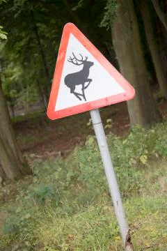 Close up of deer warning sign. 写真素材