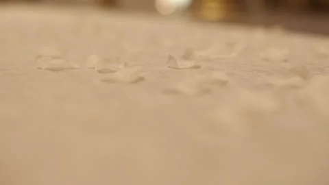 Close-up of delicate white petals scattered on a soft surface. Stock Footage 316301682