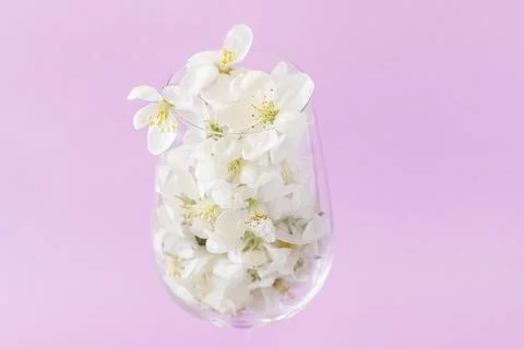 Close-up of delicate white spring blossoms in a glass flute Photos