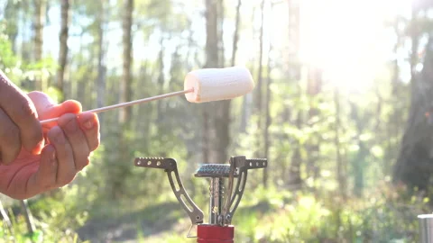 Close-up delicious marshmallow roasting over fire Stock Footage 130196814