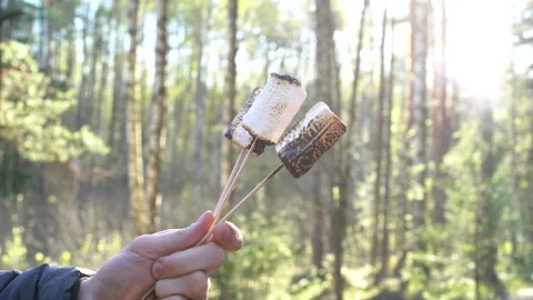 Close-up delicious marshmallow roasting over fire Stock Footage 130197159