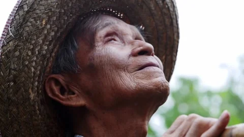 Close-up of a delighted Asian old man standing in a garden and facing the sky. Stock Footage 153250331