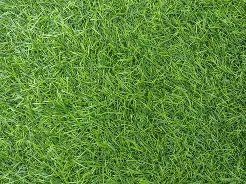 Close-up of a dense layer of artificial grass Stock Photos