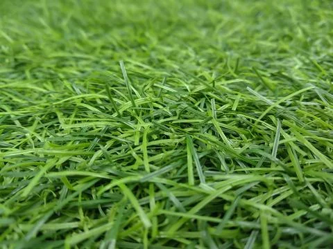 Close-up of a dense layer of artificial grass Stock-Fotos