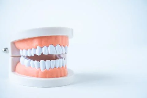 Close up dentist  tools for teeth care at white background top view Stock Photos