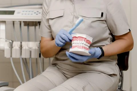 Close-up of the dentist's hands demonstrating how to brush teeth properly Foto stock