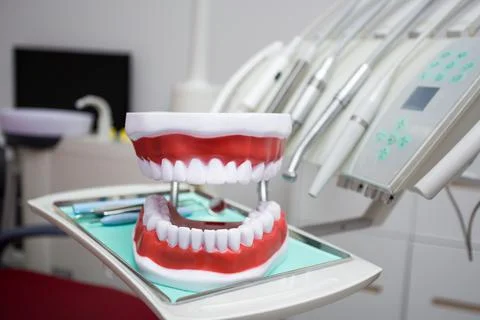 Close up of dentist's tools and artificial jaws in dental clinic Stock Photos