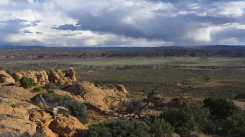 A close up of a desert field with a mountain in the background Stock Footage 155585016