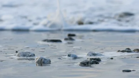 Close up detail, Cornish Beach Stock Footage 260388150
