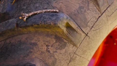 Close Up Detail of a Large Muddy Tractor Tire Tread Outdoors Stock Footage 337905681