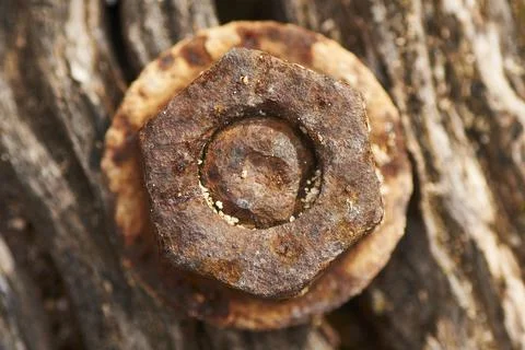 Close-up detail of an old rusty nut and packing ring screwed into wood Stock Photos