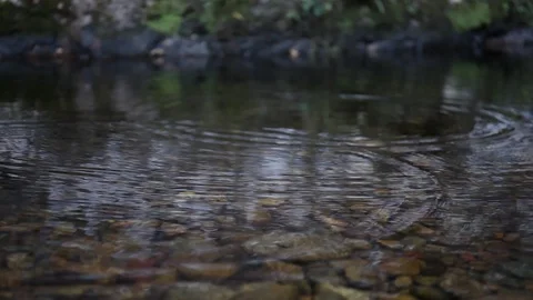 CLOSE UP: Detail of raindrops falling down. Start monsoon rains. The first drops Stock Footage 109583744