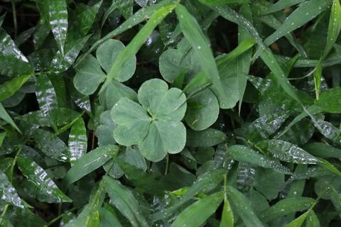 Close up detail on Texture and Pattern Stock Photos