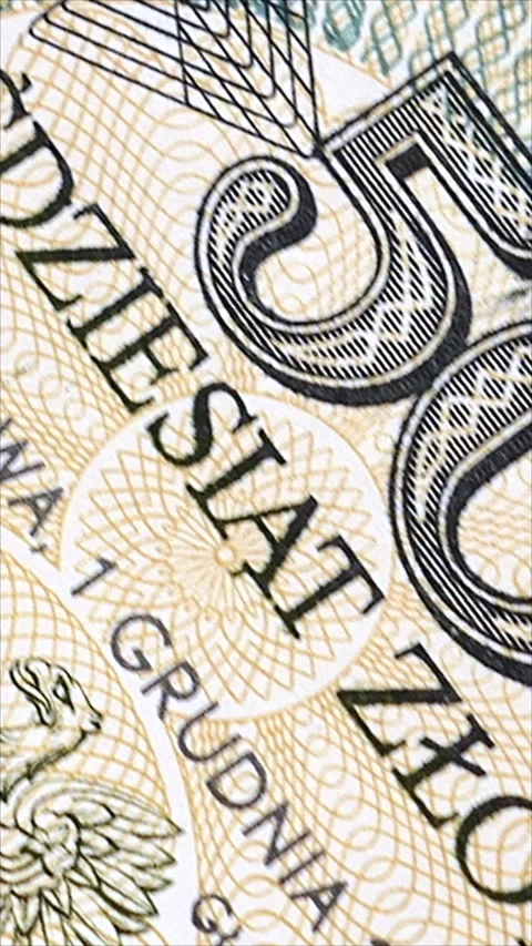 Close-Up Of Detailed Currency Design With Security Patterns Vertical. Stock Footage 285795070