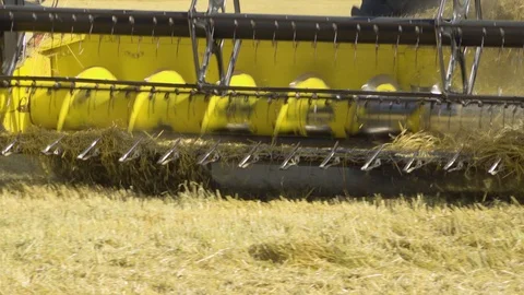 A close up detailed view of a front a combine harvester as it harvests grains. Stock-Footage 124639842