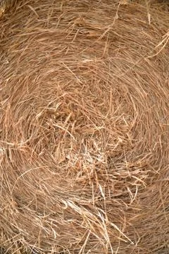 Close up detailed view of stack of hay Stock Photos