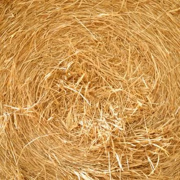 Close up detailed view of stack of hay Stock Photos