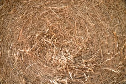 Close up detailed view of stack of hay Stock Photos