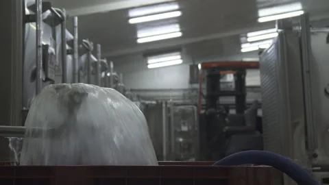 Close up. Devastating Wine bowl and march loading in the press, with marc pump. Stock-Footage 153813384