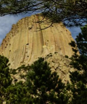 Close up of Devils tower behind trees in america on sunny day Foto stock