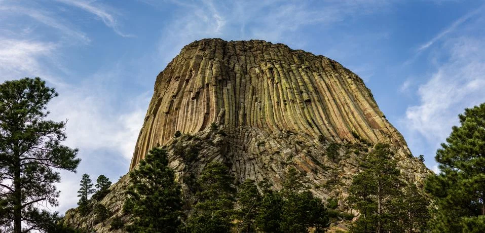 Close up of Devils tower behind trees in america on sunny day Foto stock