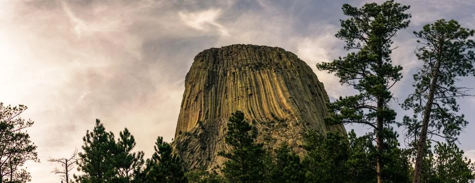 Close up of Devils tower behind trees in america on sunny day 스톡 사진