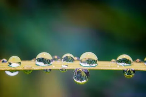 Close-up dew drops on the grass. Selective, soft focus Stock Photos