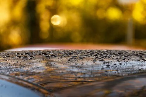 Close-Up of Dew Drops Stock Photos