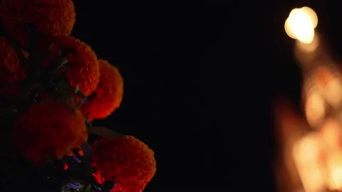 Close-up of Dia de Los Muertos marigold flowers and a church in the background Stock Footage 219660927
