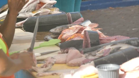 Close Up  of Different Fish On Table At The Market, Galapagos Island Stock Footage 108332167