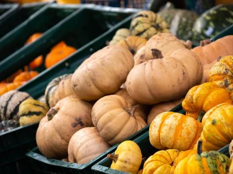 A close up of the different fresh gourds in the baskets sold on the market. Stock Photos