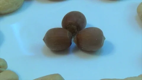 Close-up of different nuts on a plate Stock Footage 115500539