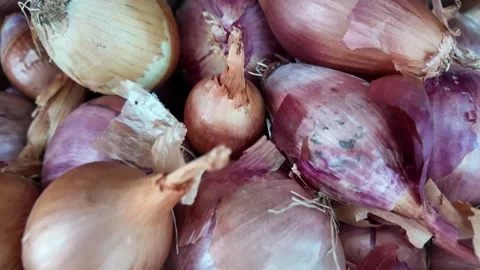 Close-up of different onions types Stock Footage 318229255