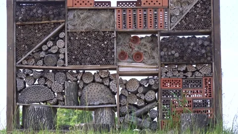 Close up of the different sections of a bug hotel in 4k Stock Footage 138423170